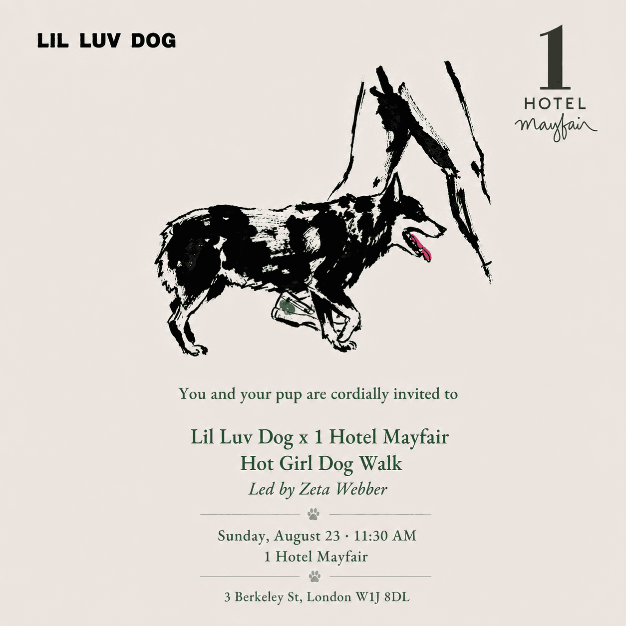 LIL LUV DOG X 1 HOTEL MAYFAIR HOT GIRL DOG WALK