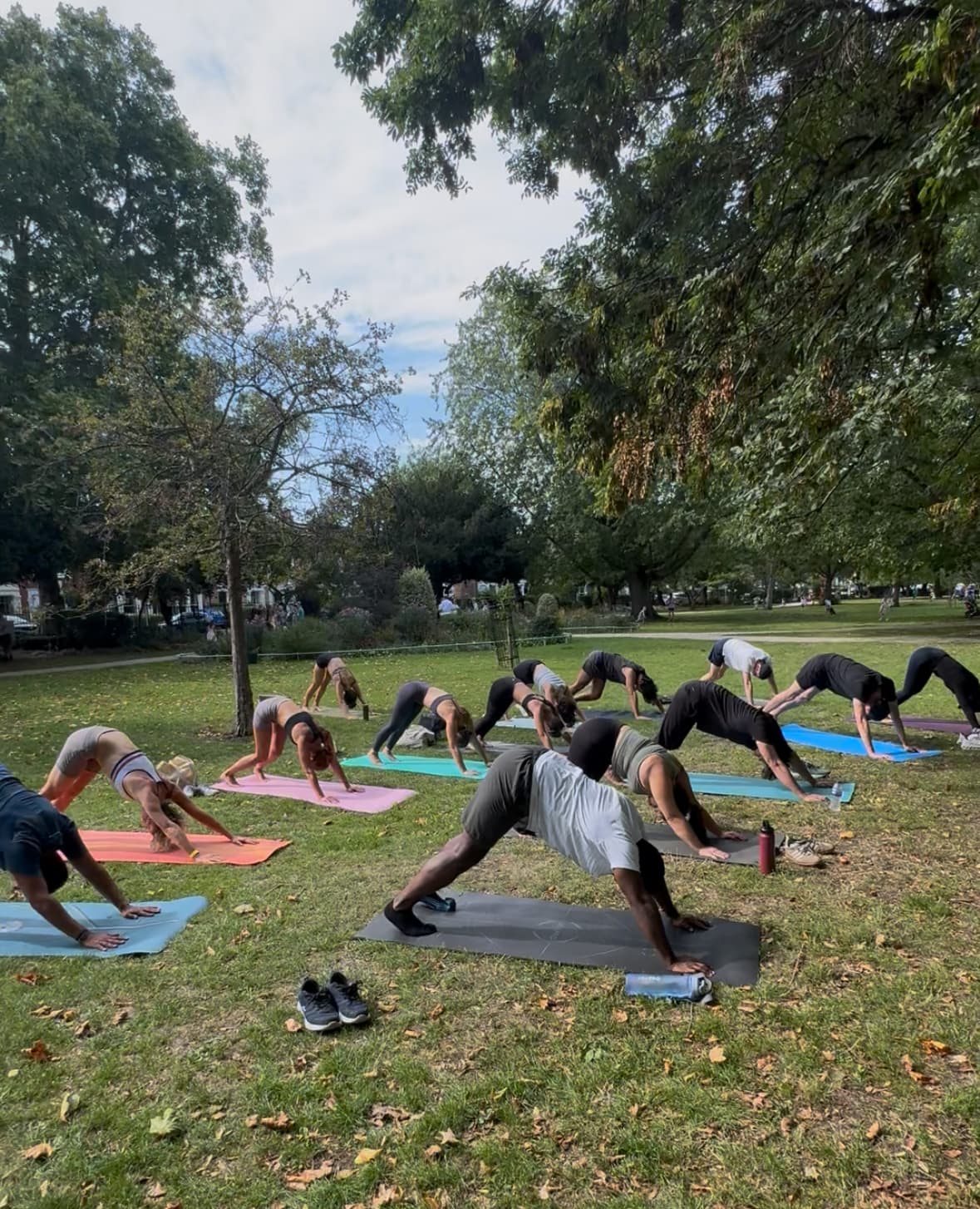 Yoga In The Park & Picnic