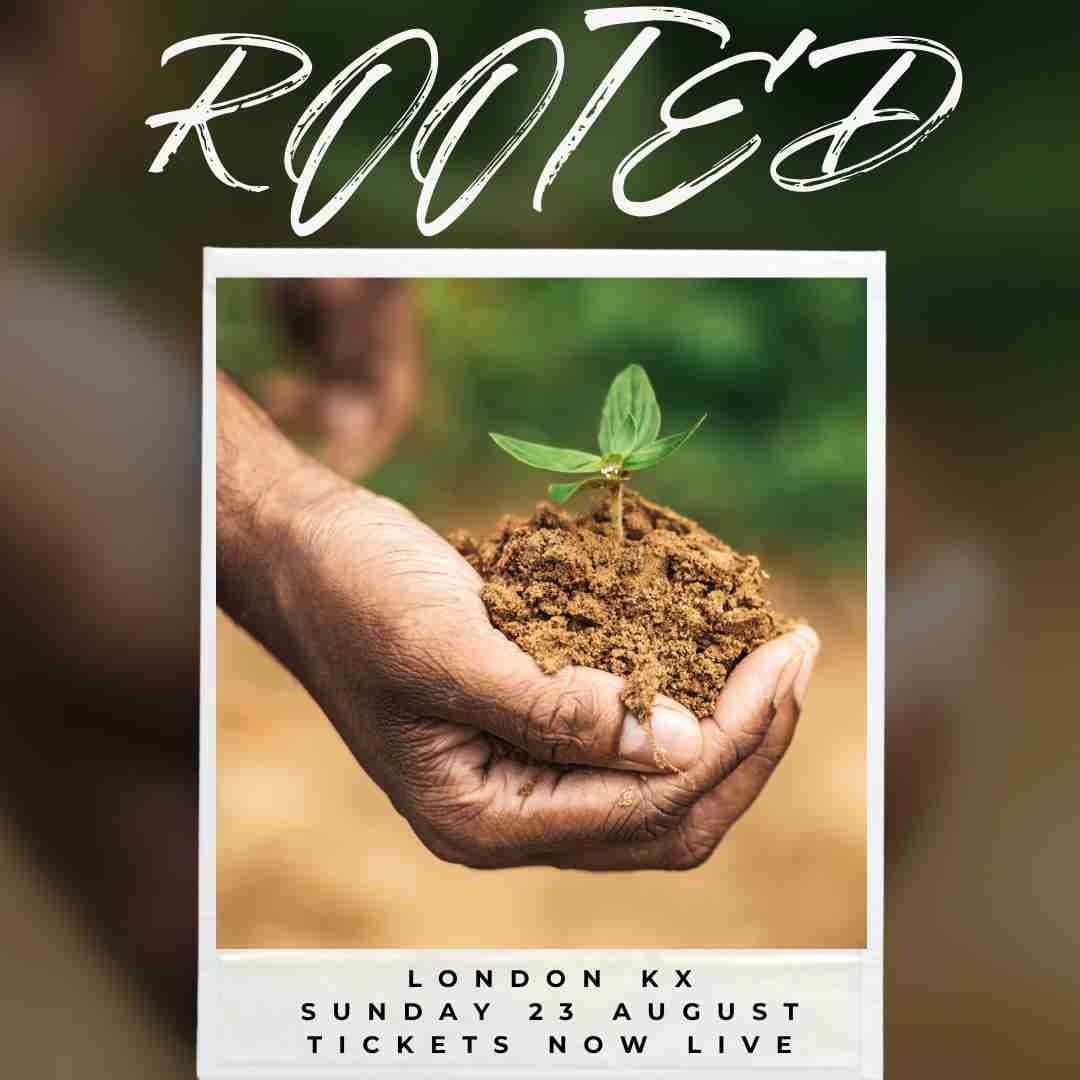 🌱 ROOTED: Growing Healthy Money Habits