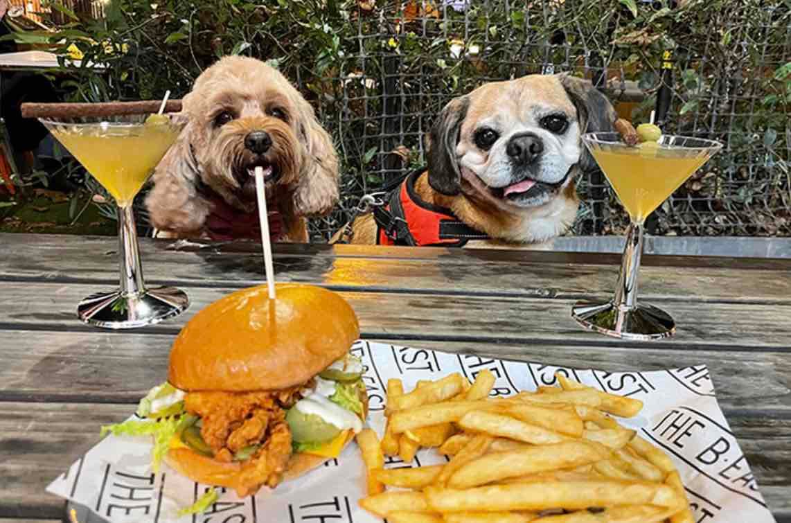 Dog friendly London pub crawl!